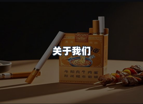 关于我们
